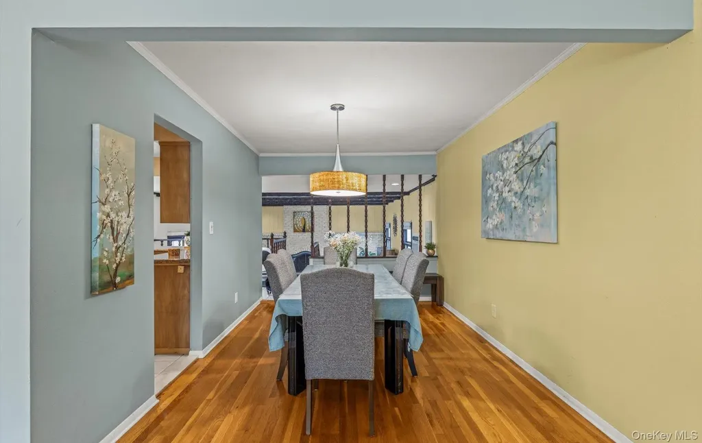 11 Dartmouth Drive Plainview NY 11803