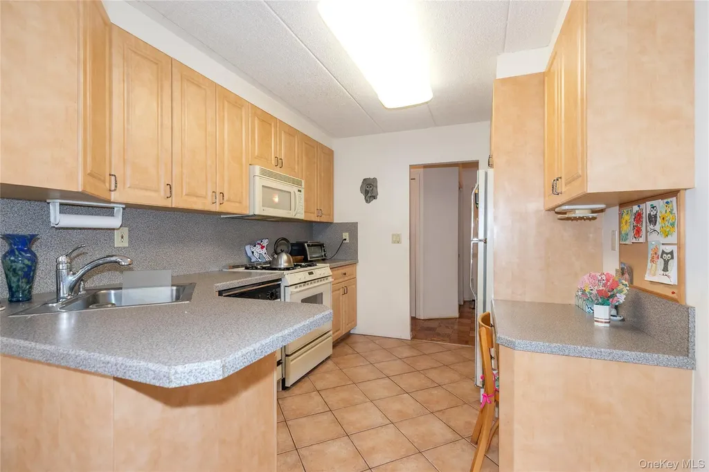 10 Ipswich Avenue Great Neck NY 11021
