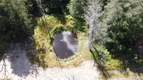 226 Goff Road Livingston Manor NY 12758