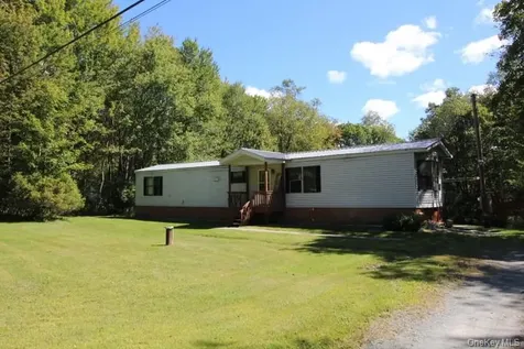226 Goff Road Livingston Manor NY 12758