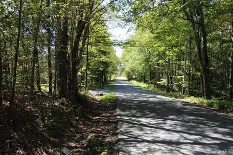 226 Goff Road Livingston Manor NY 12758