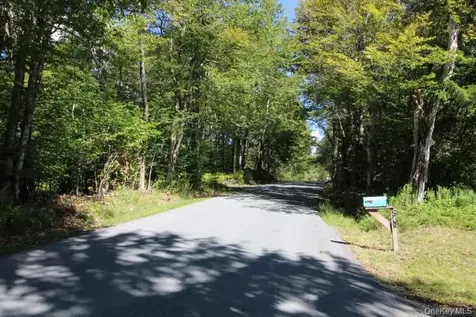 226 Goff Road Livingston Manor NY 12758