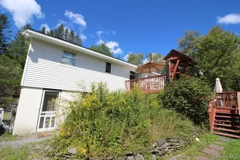 226 Goff Road Livingston Manor NY 12758