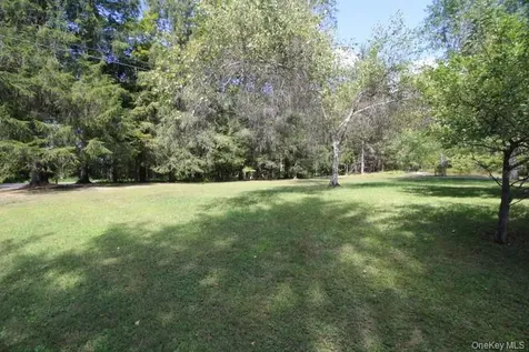226 Goff Road Livingston Manor NY 12758