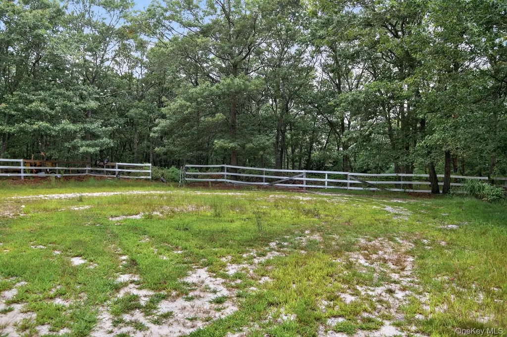 123 Elizabeth Way Ridge NY 11961