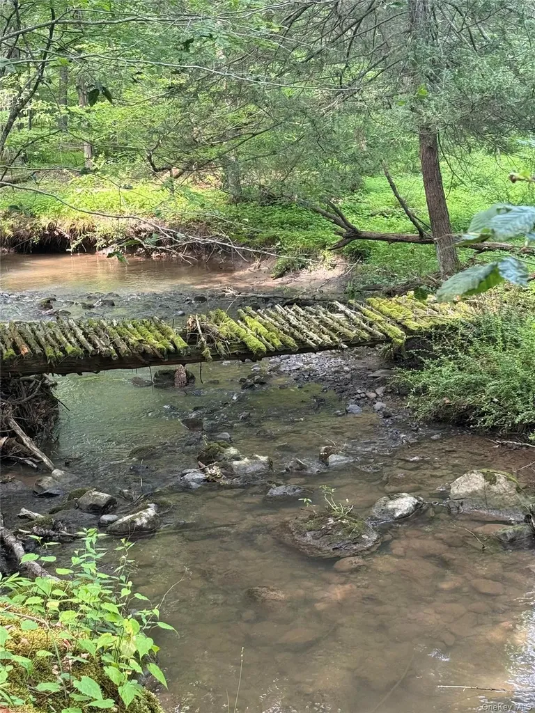 131 Mossybrook Road High Falls NY 12440