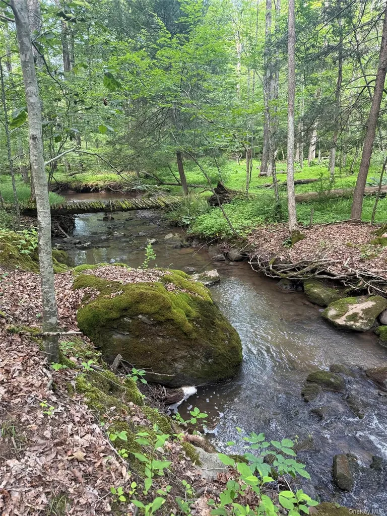 131 Mossybrook Road High Falls NY 12440