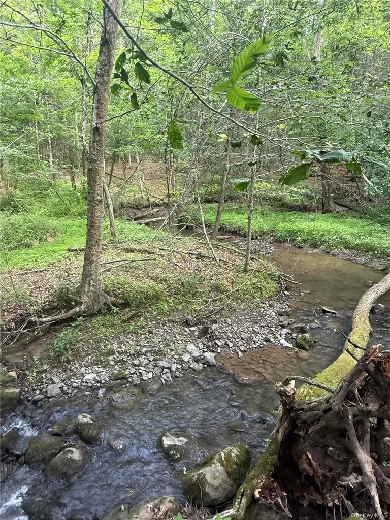 131 Mossybrook Road High Falls NY 12440