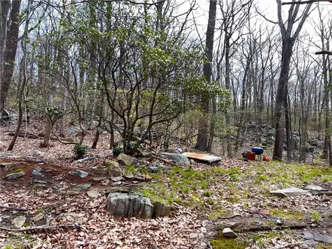 254 Wixon Pond Road Mahopac NY 10541