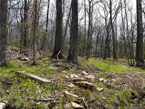 254 Wixon Pond Road Mahopac NY 10541