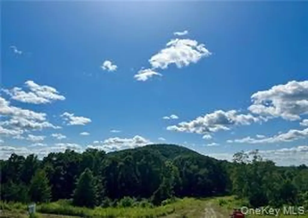 32 Mountainside Drive Chester NY 10918