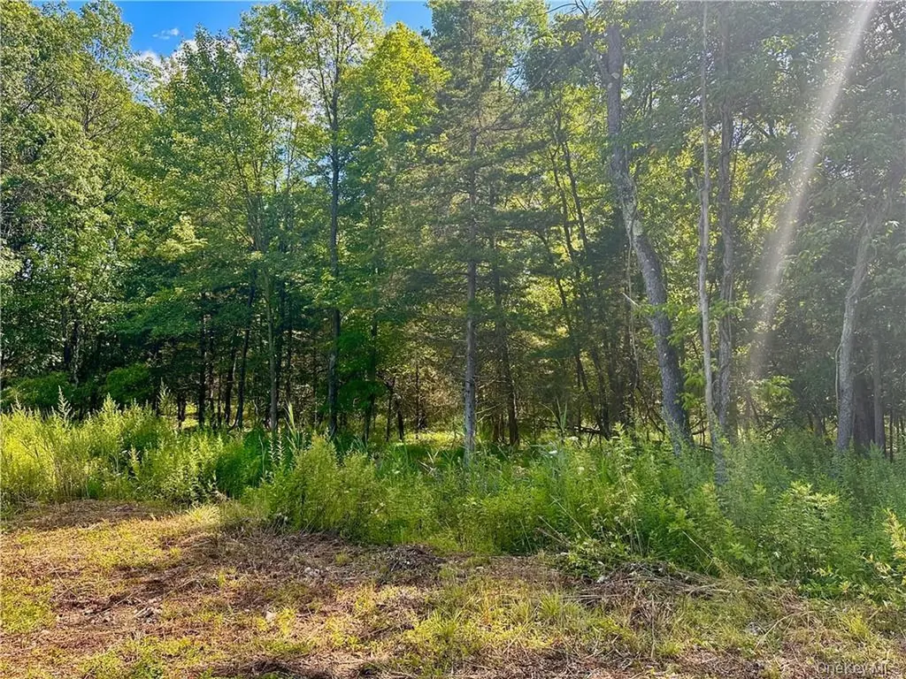 32 Mountainside Drive Chester NY 10918