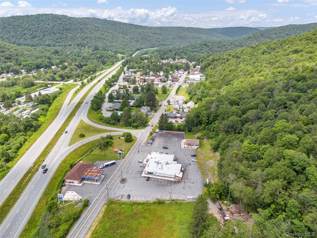 1908 Old Route 17 Roscoe NY 12776