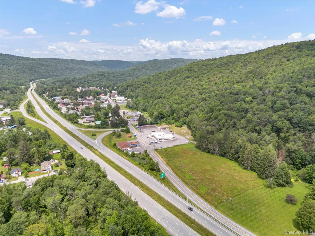 1908 Old Route 17 Roscoe NY 12776