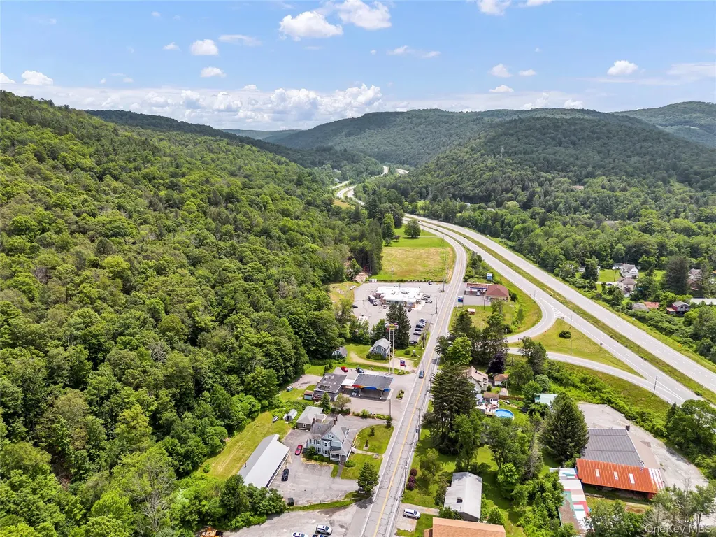 1908 Old Route 17 Roscoe NY 12776