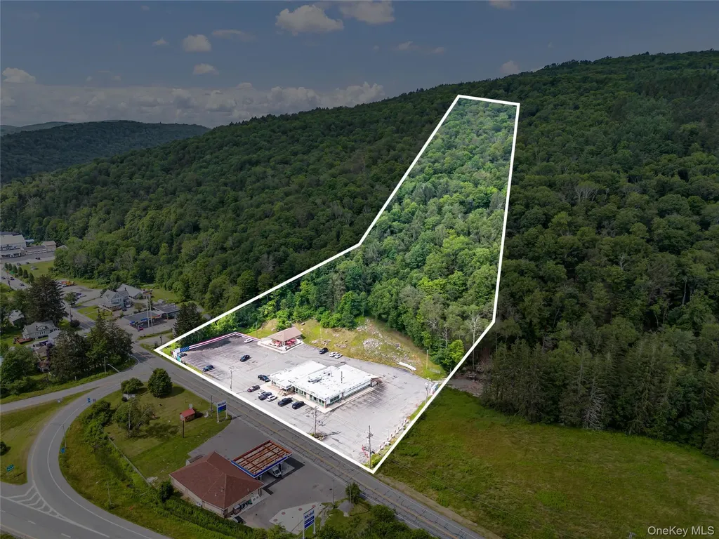 1908 Old Route 17 Roscoe NY 12776