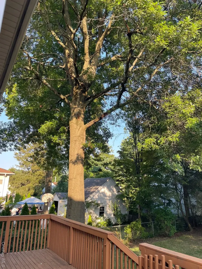 39 Archer Avenue White Plains NY 10603