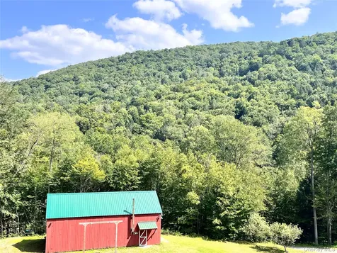 201 Basket Brook Road Long Eddy NY 12760
