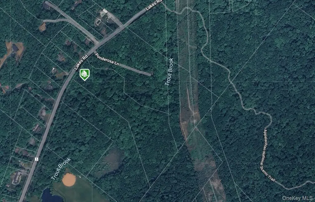 1171 Lakes Road Monroe NY 10950