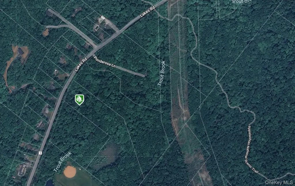 1181 Lakes Road Monroe NY 10950