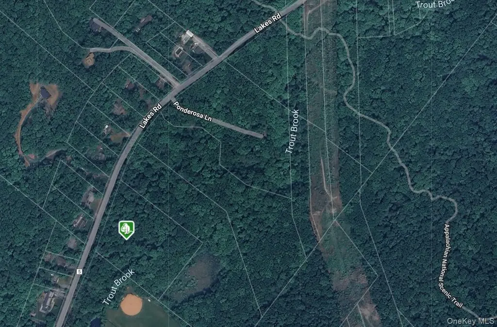 1187 Lakes Road Monroe NY 10950