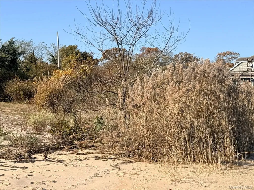 8 Edgewater Drive Mastic Beach NY 11951