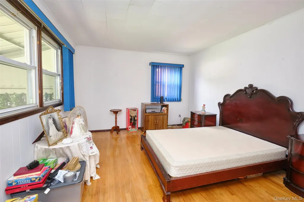 101 Hampton Avenue Albertson NY 11507