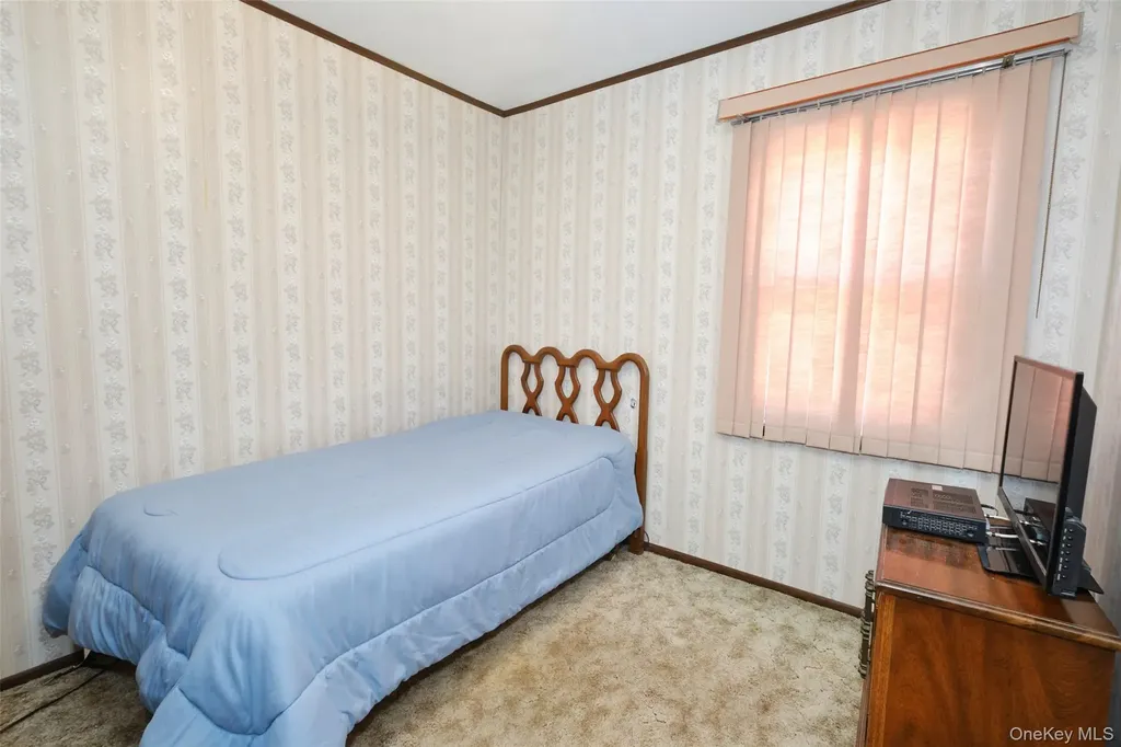 101 Hampton Avenue Albertson NY 11507