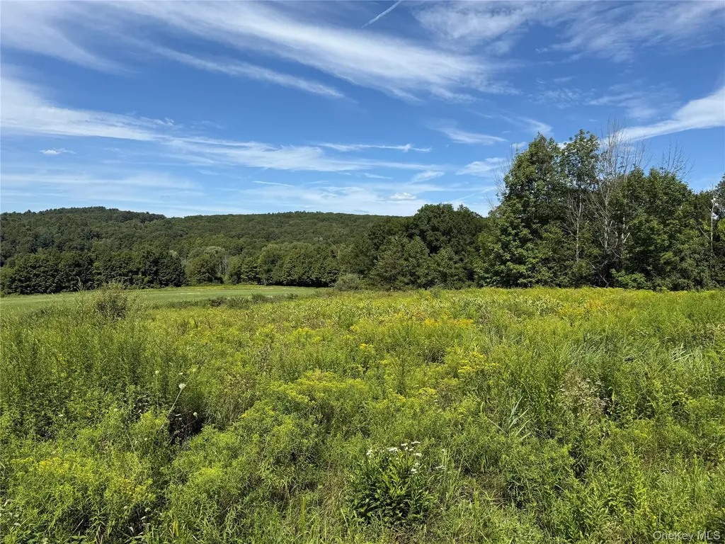 4848 Route 44 Amenia NY 12501