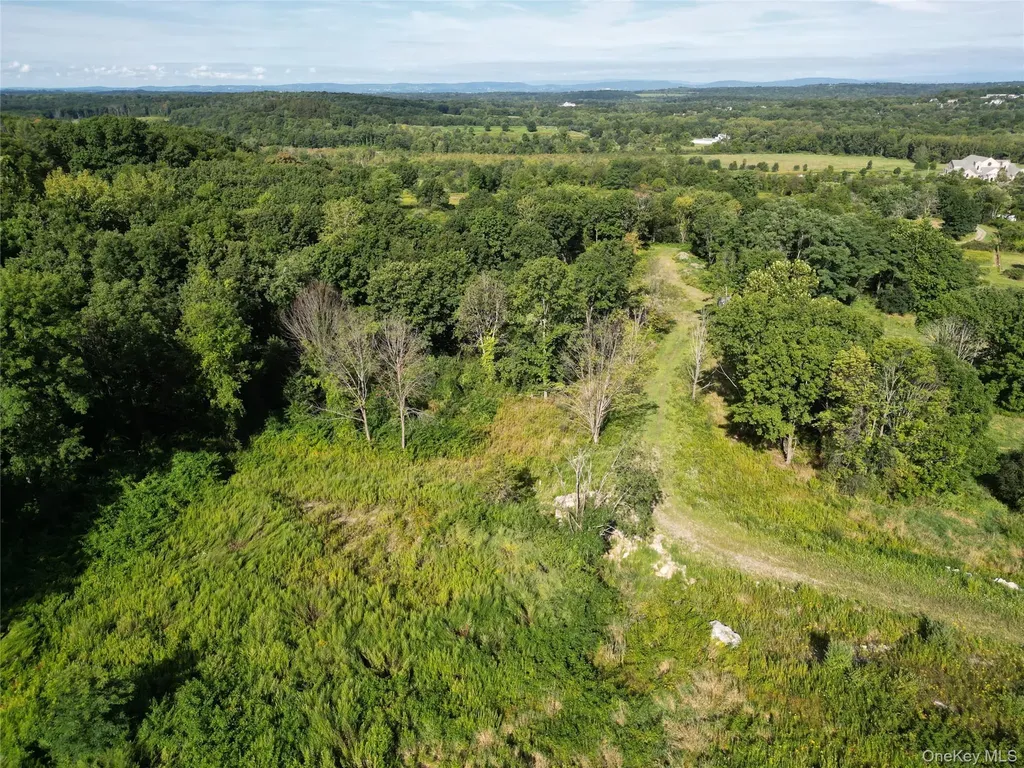 36 Gem Mountain Lagrangeville NY 12540