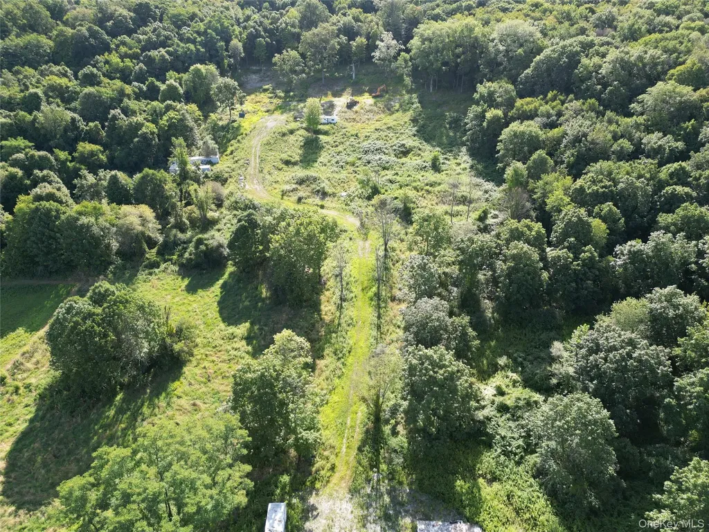36 Gem Mountain Lagrangeville NY 12540