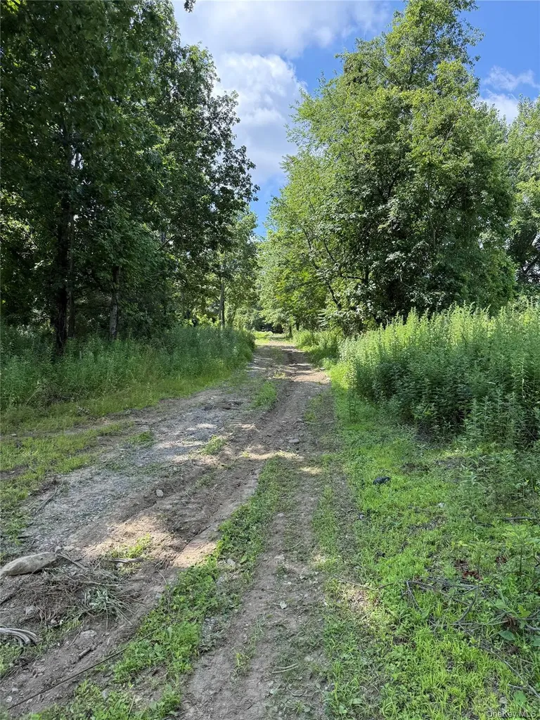 36 Gem Mountain Lagrangeville NY 12540