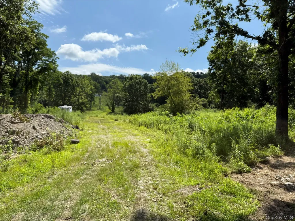 36 Gem Mountain Lagrangeville NY 12540