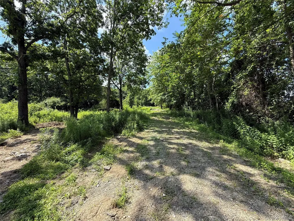 36 Gem Mountain Lagrangeville NY 12540