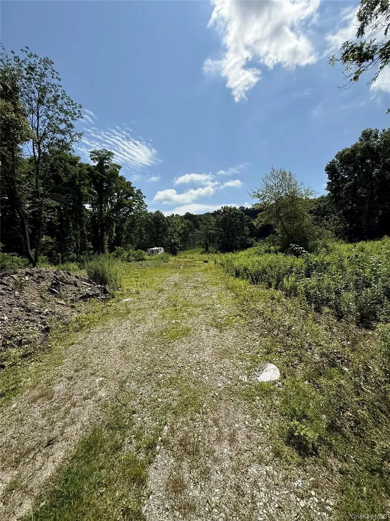 36 Gem Mountain Lagrangeville NY 12540