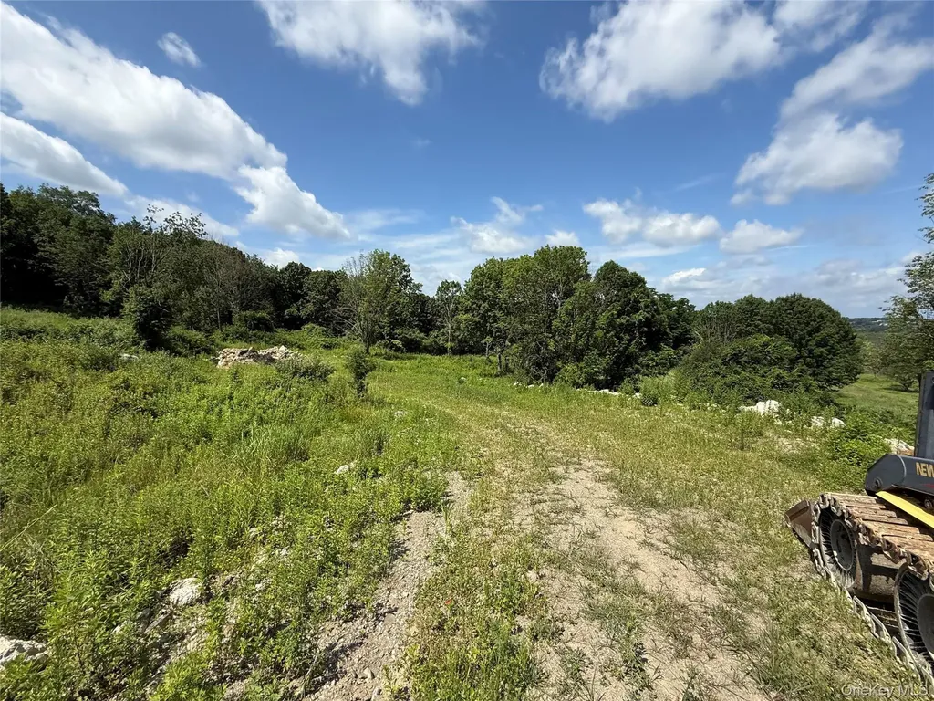 36 Gem Mountain Lagrangeville NY 12540