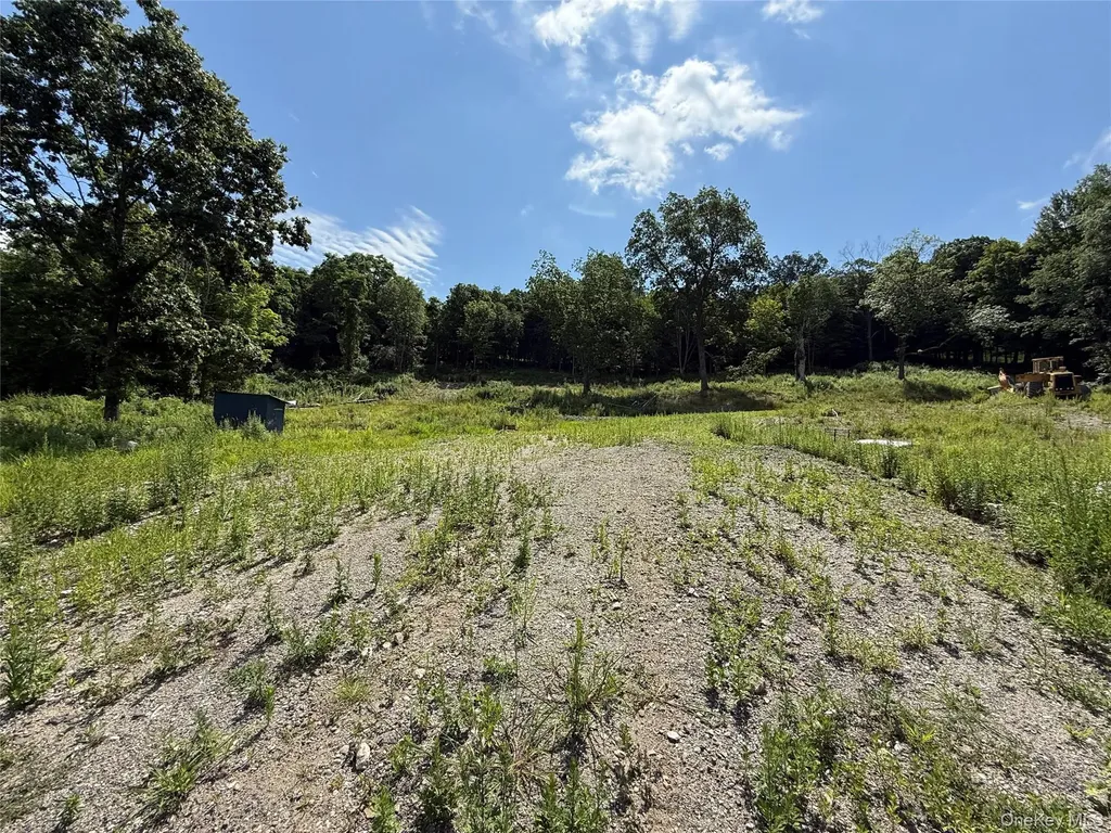36 Gem Mountain Lagrangeville NY 12540