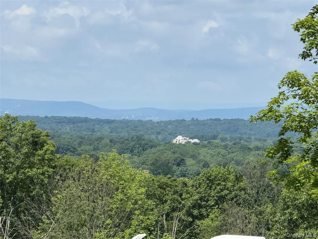 36 Gem Mountain Lagrangeville NY 12540