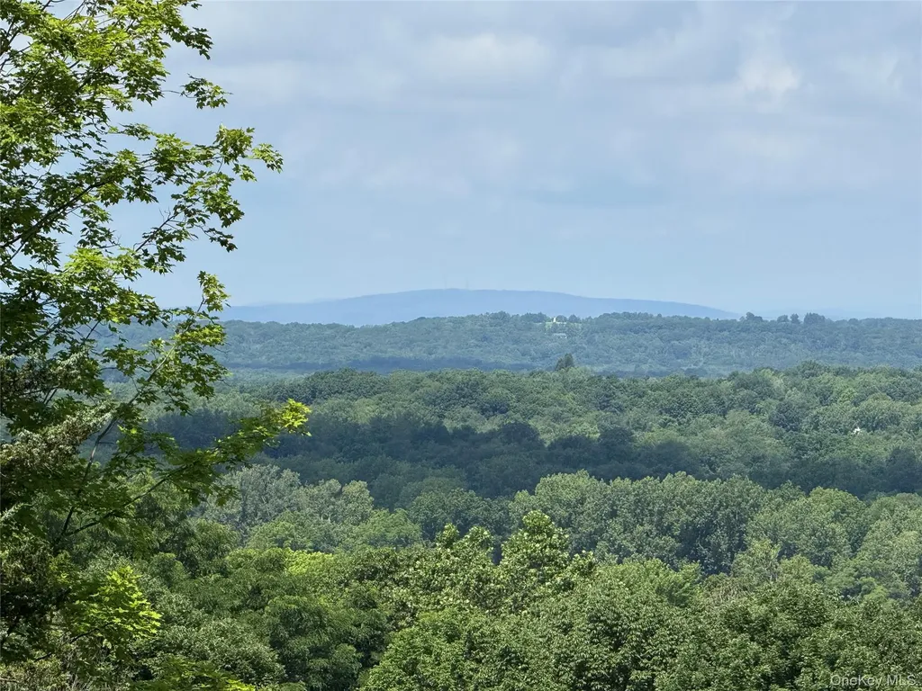36 Gem Mountain Lagrangeville NY 12540