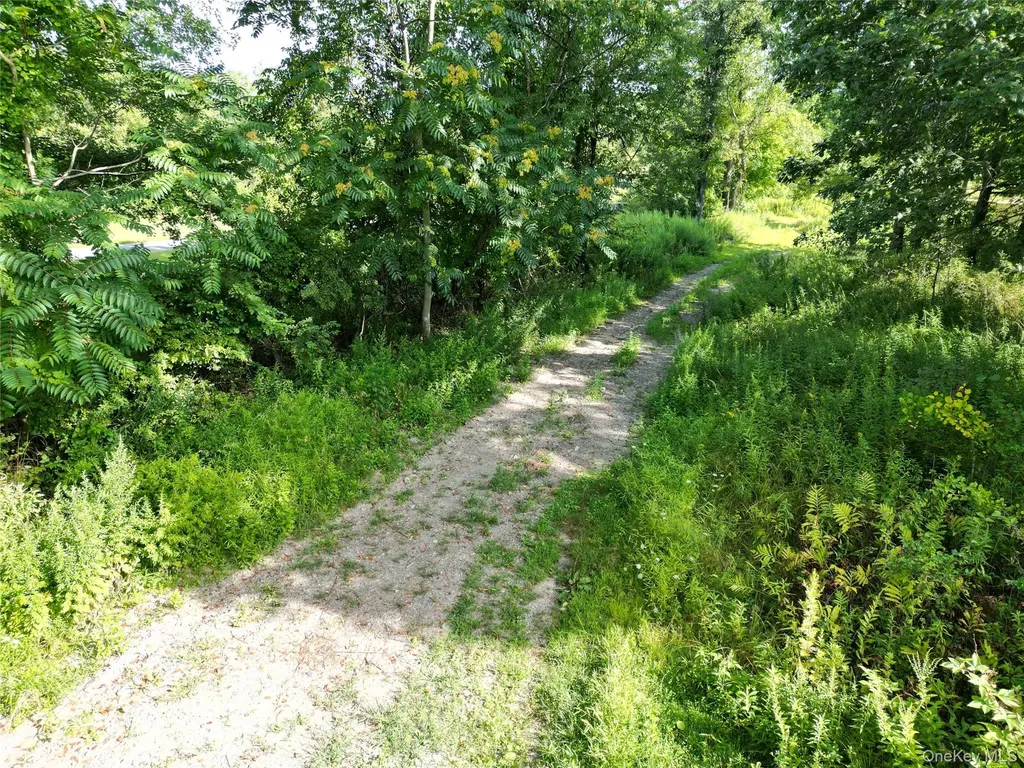 36 Gem Mountain Lagrangeville NY 12540