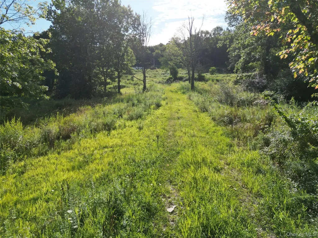 36 Gem Mountain Lagrangeville NY 12540