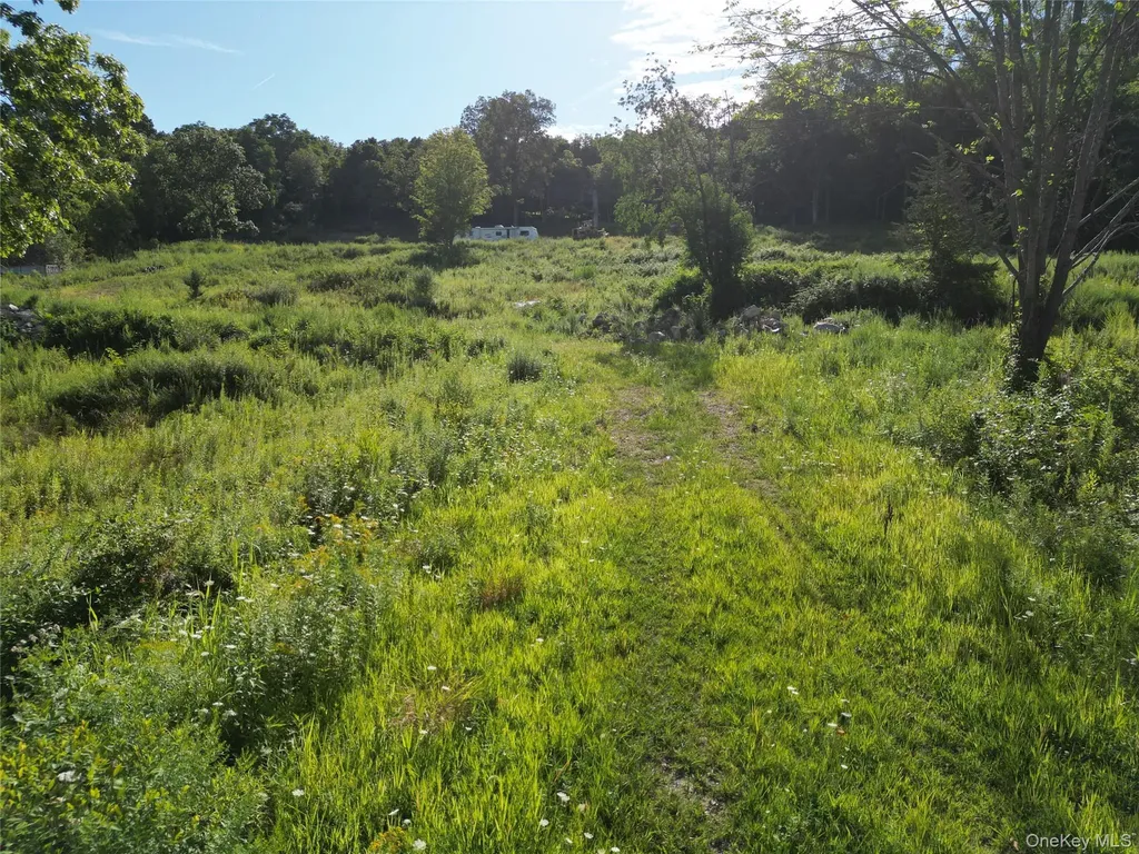 36 Gem Mountain Lagrangeville NY 12540