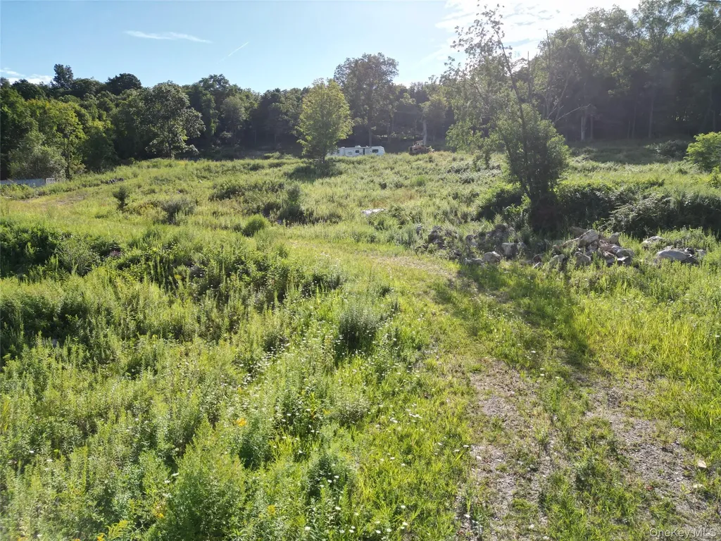 36 Gem Mountain Lagrangeville NY 12540