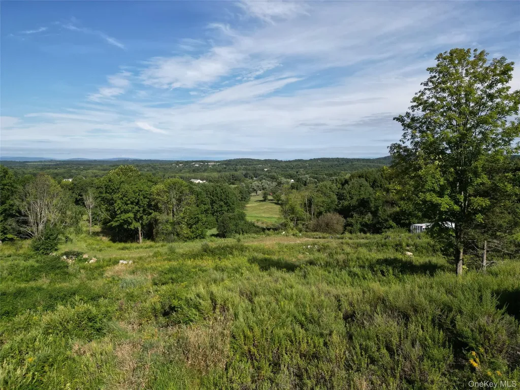 36 Gem Mountain Lagrangeville NY 12540