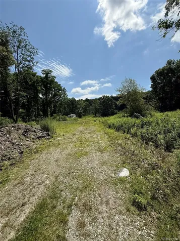 36 Gem Mountain Lagrangeville NY 12540