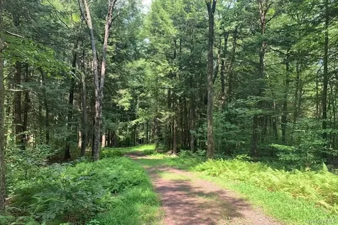 Lot 23 Woodstone Trail White Lake NY 12720