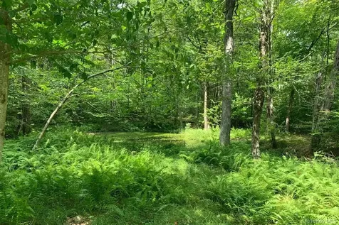Lot 23 Woodstone Trail White Lake NY 12720