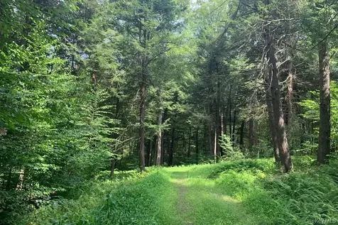 Lot 23 Woodstone Trail White Lake NY 12720
