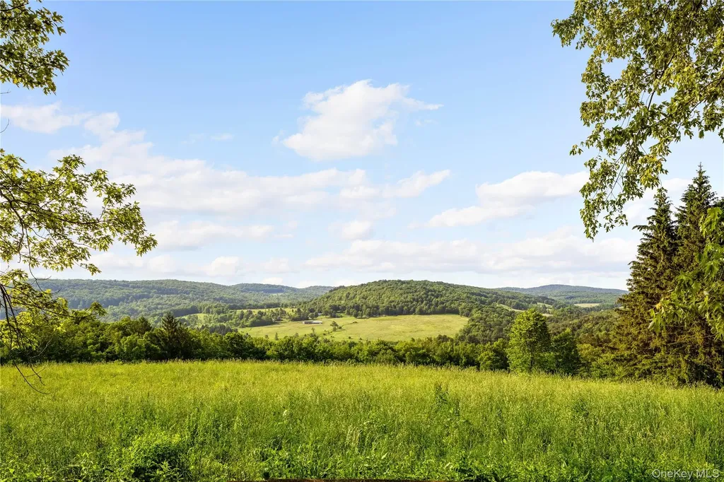 Bovina Center NY 13740