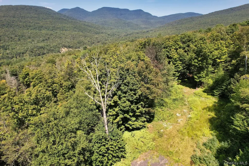 Tbd Macdaniel Road Bearsville NY 12409